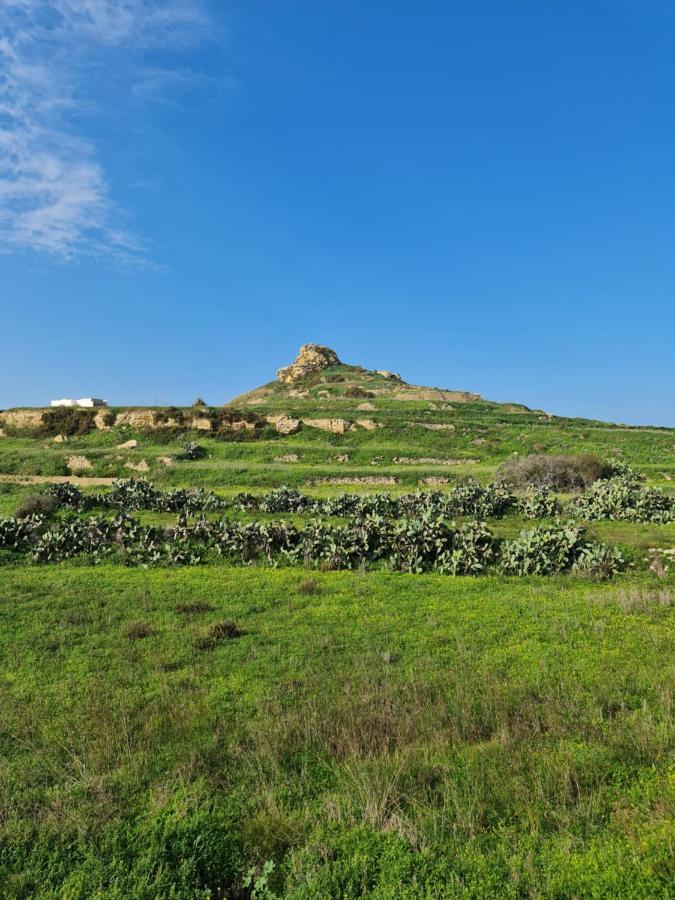 Sea Breeze Apartment Zebbug  Bagian luar foto